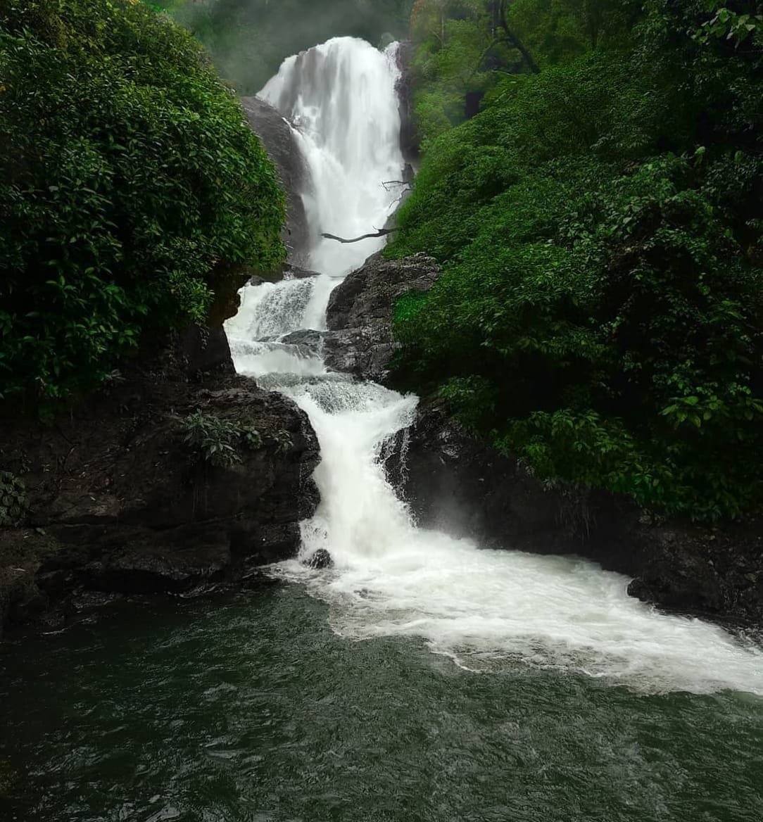 A serene waterfall with clear pools for swimming